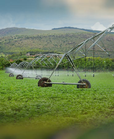 Climate Resilience in Horticulture